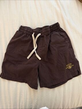 BDG Brown Men's Drawstring Swim Trunks